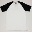 画像4: PELLE PELLE（ペレペレ)VINTAGE SPORT Tシャツ (ホワイト) PP3012 (4)