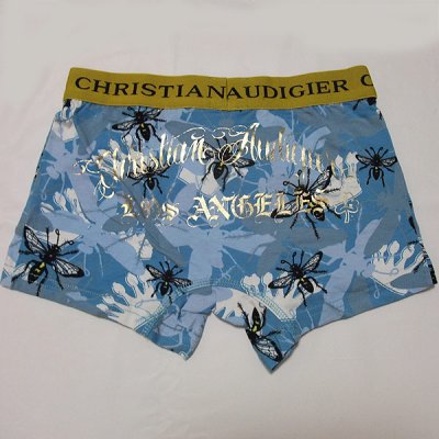 画像3: CHRISTIAN AUDIGIER(クリスチャンオードジェー）INSECTボクサーパンツ(スカイ）7BOX20INS