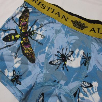 画像1: CHRISTIAN AUDIGIER(クリスチャンオードジェー）INSECTボクサーパンツ(スカイ）7BOX20INS